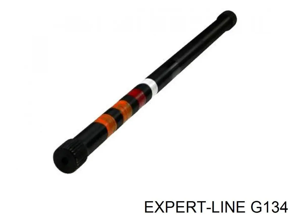 G134 Expert Line Barra de torsión trasera derecha