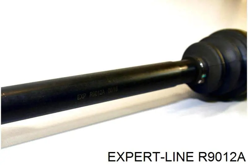 Comprar R9012A Expert Line Semieje delantero derecho