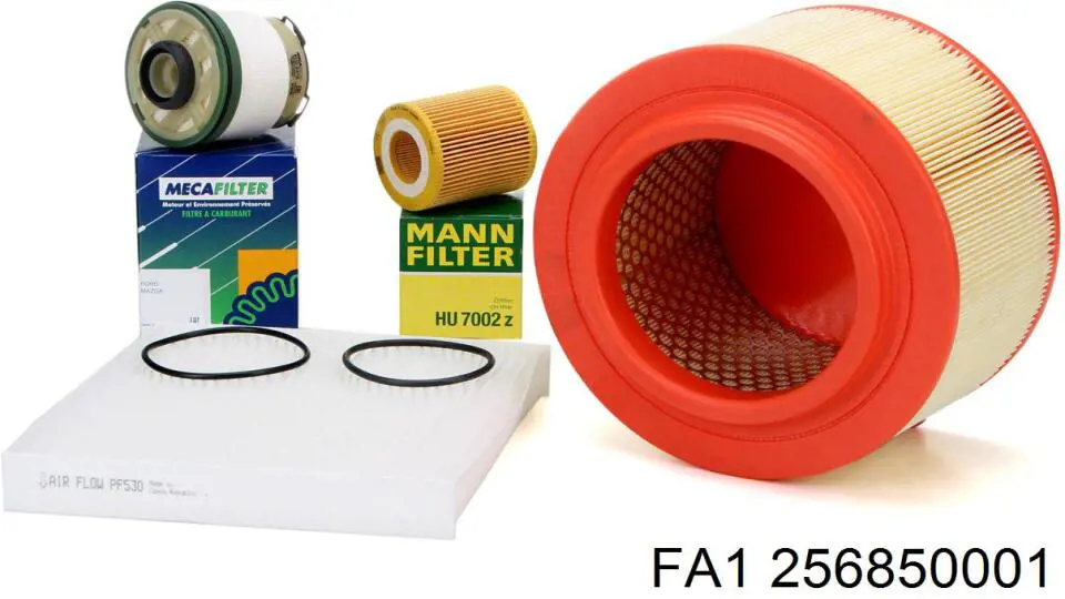 Tapón del cárter de aceite FA1 256850001 precio, desde 2,10 EUR