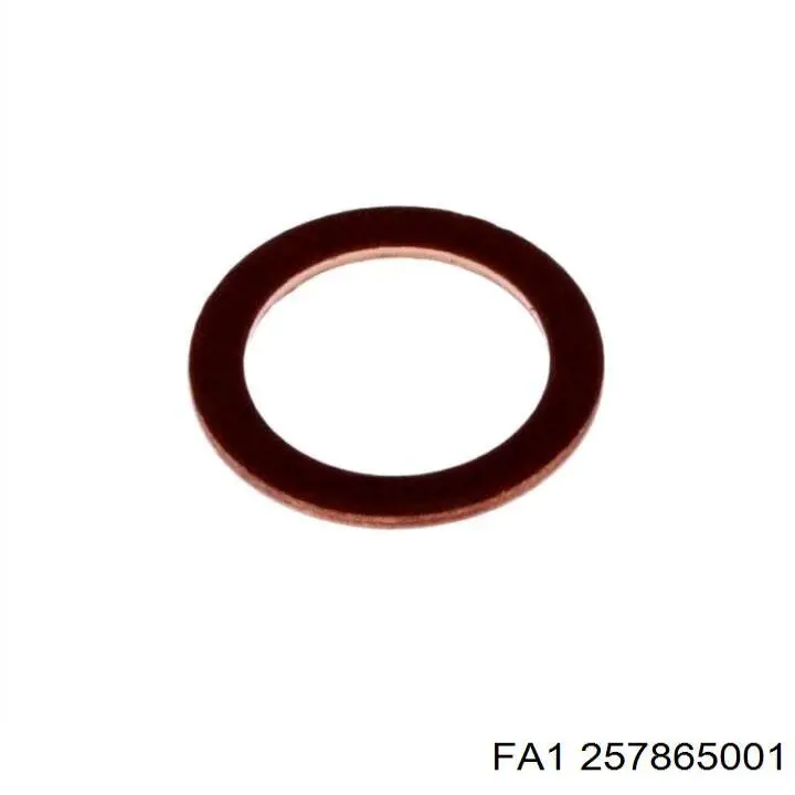 257865001 FA1 Tapón del cárter de aceite