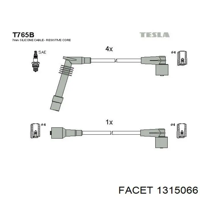 1315066 Facet