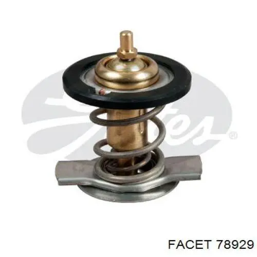 Comprar 78929 Facet Termostato