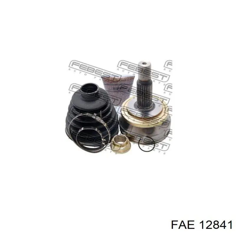 Manómetro de presión de aceite FAE 12841 precio, desde 11,31 EUR