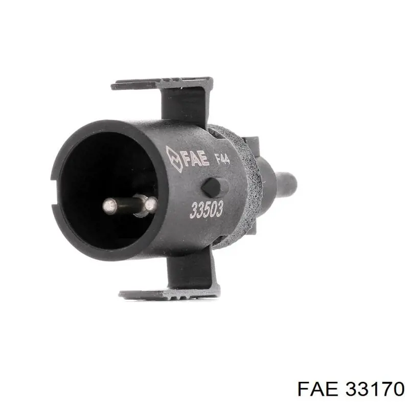 33170 FAE sensor, temperatura del aire de admisión
