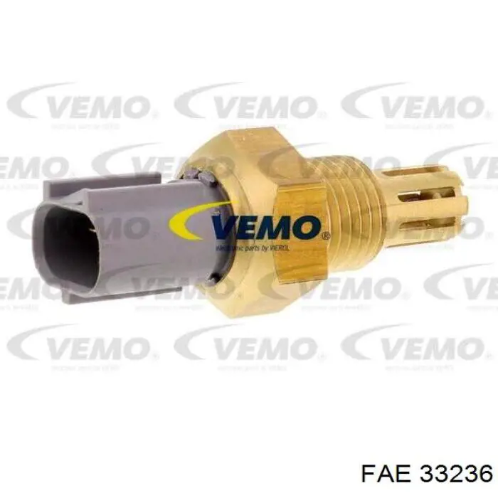 550941A ERA Sensor de temperatura del aire de admisión