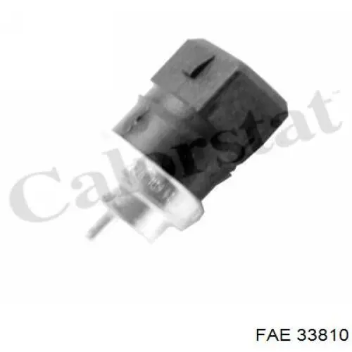 33810 FAE Sensor temperatura refrigerante