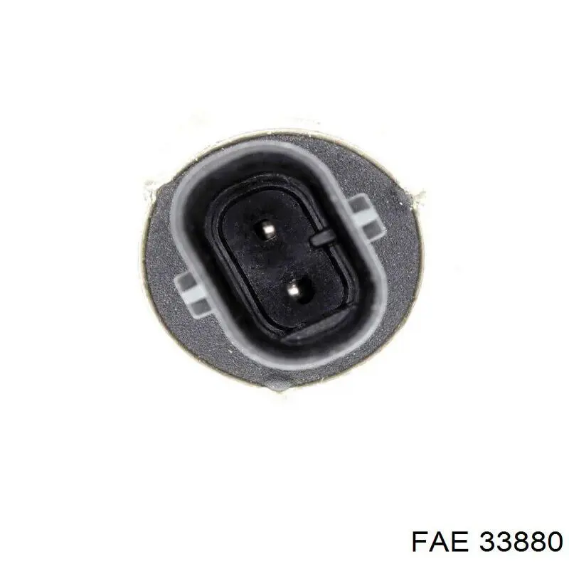 33880 FAE sensor, temperatura combustible