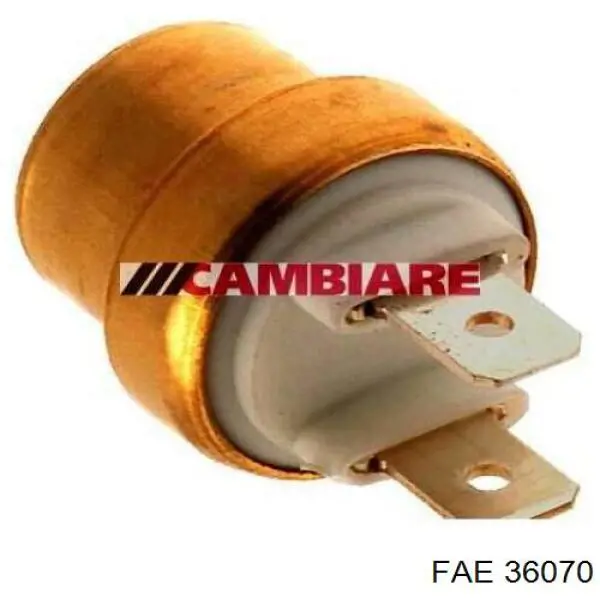 6001011893 Renault (RVI) sensor, temperatura del refrigerante (encendido el ventilador del radiador)