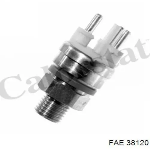 FAE 33600 Sensore Temperatura Refrigerante – 2 Poli, Ricambio Per Impianto Raffreddamento Auto
