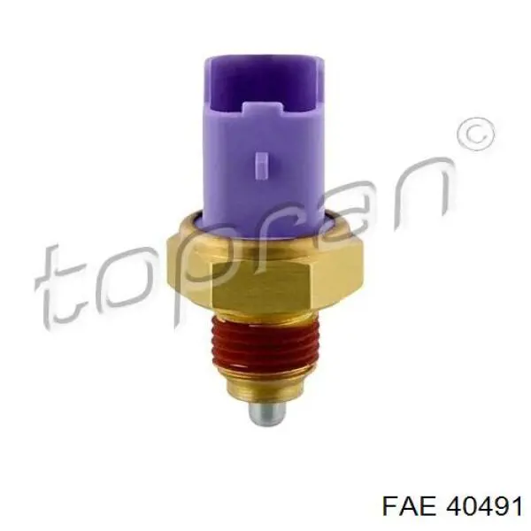 Interruptor piloto de marcha atrás FAE 40491 precio, desde 8,74 EUR
