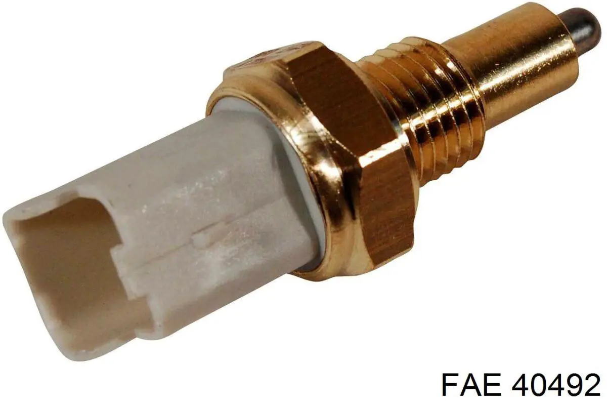 Interruptor piloto de marcha atrás FAE 40492 precio, desde 9,10 EUR