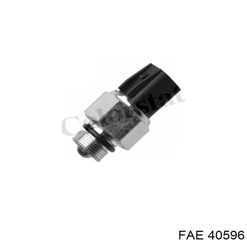 Interruptor piloto de marcha atrás FAE 40596 precio, desde 13,36 EUR