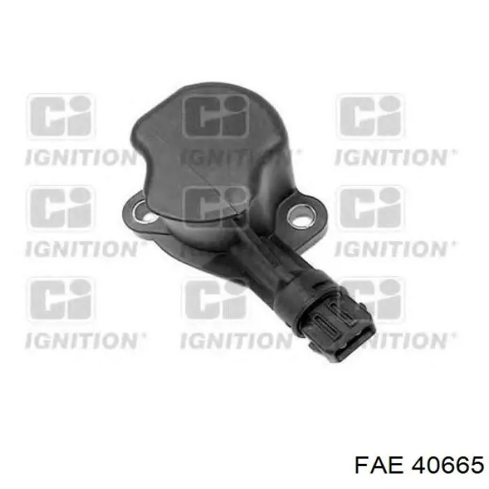 Comprar 40665 FAE Interruptor de luz de marcha atrás