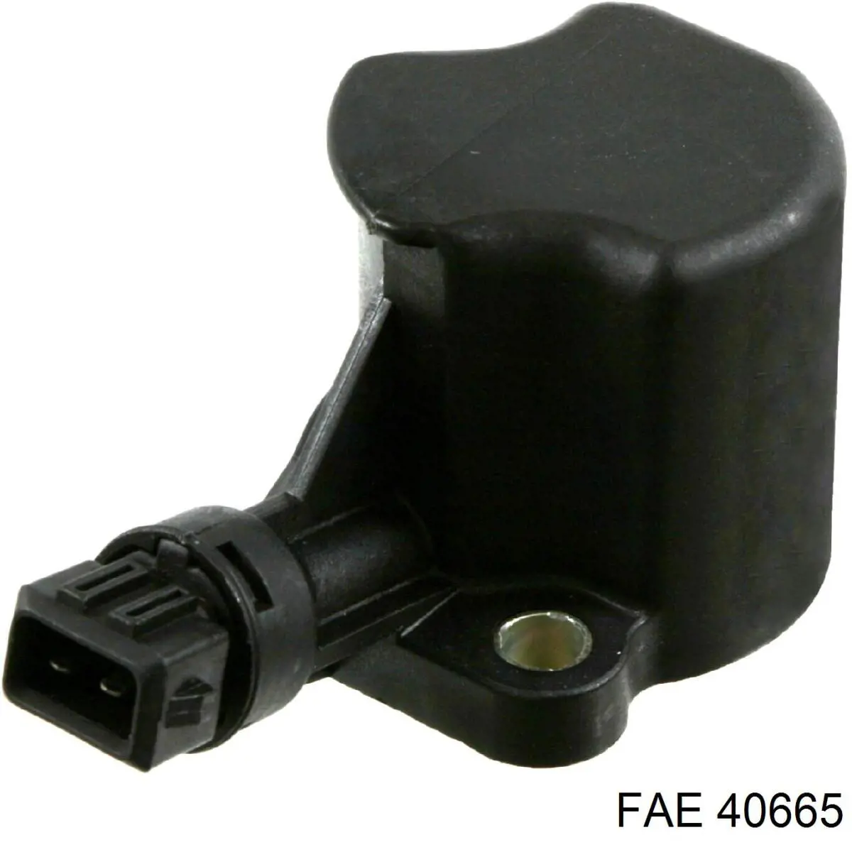 40665 FAE Interruptor piloto de marcha atrás
