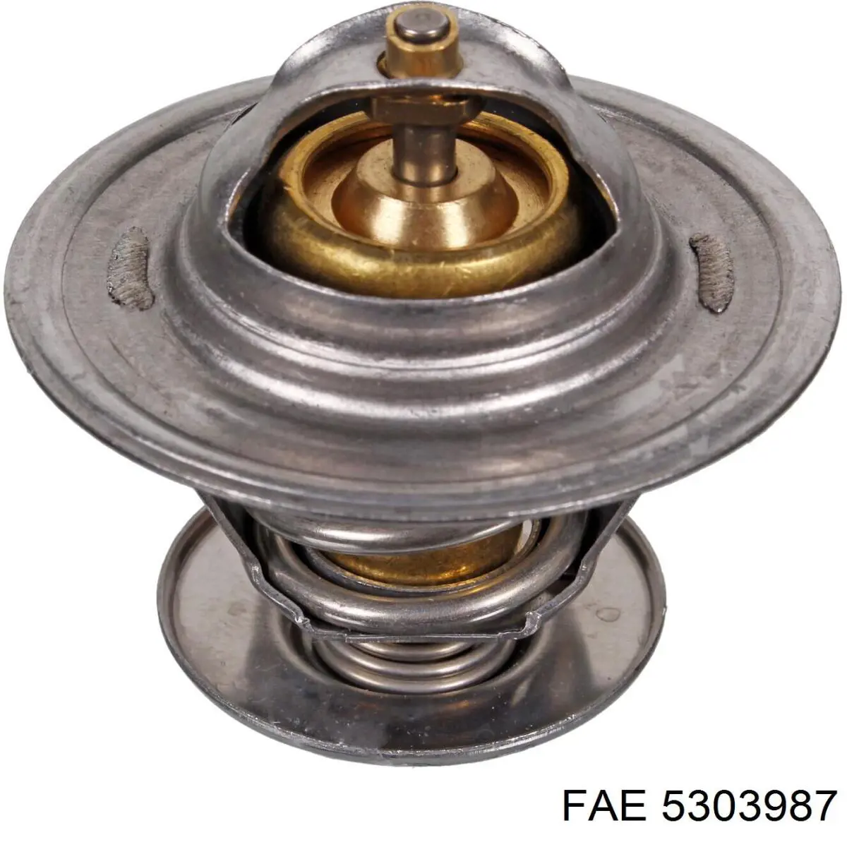 5303987 FAE termostato, refrigerante