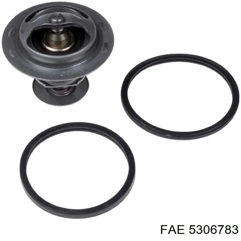 Termostato 316T0011 Ridex