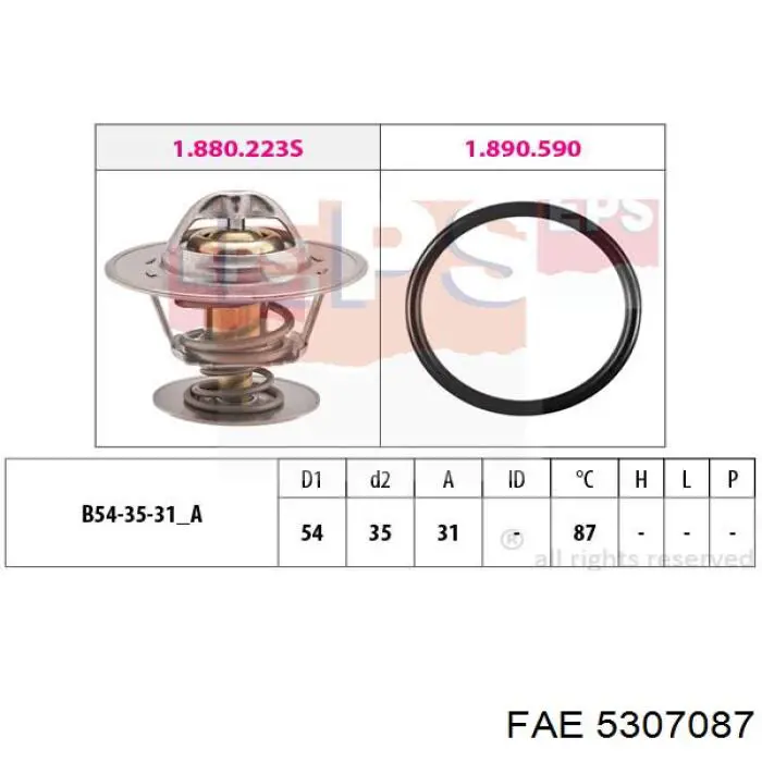 5307087 FAE termostato, refrigerante