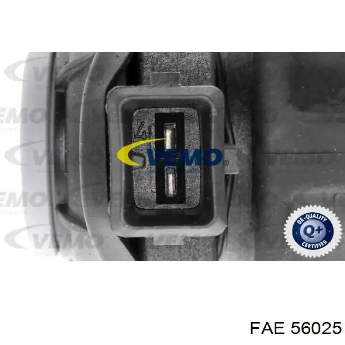 56025 FAE transmisor de presion de carga (solenoide)
