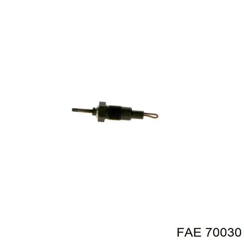 70030 FAE