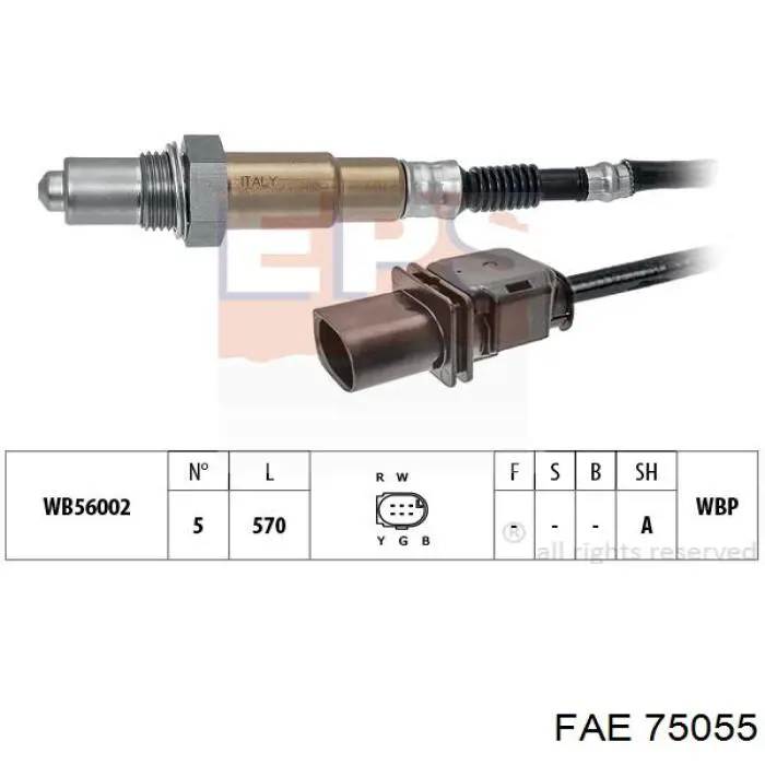 Sonda lambda, sensor de oxígeno antes del catalizador derecho FAE 75055 precio, desde 82,98 EUR
