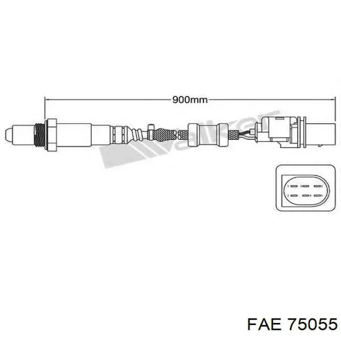 75055 FAE sonda lambda, sensor de oxígeno antes del catalizador derecho