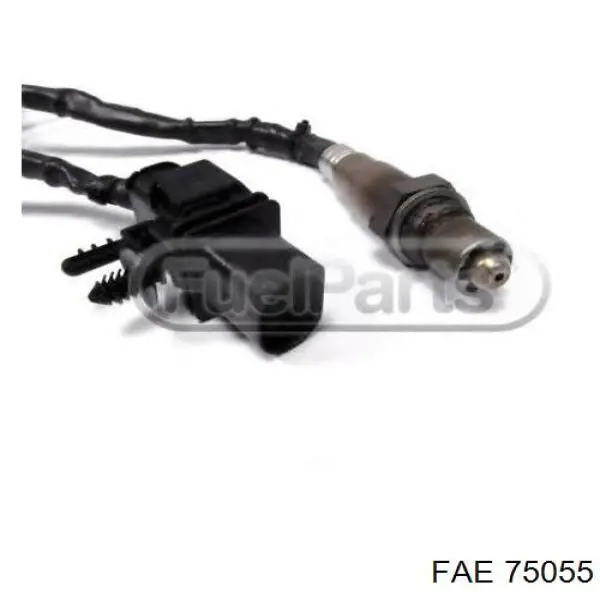 Comprar 75055 FAE Sonda lambda, sensor de oxígeno antes del catalizador derecho