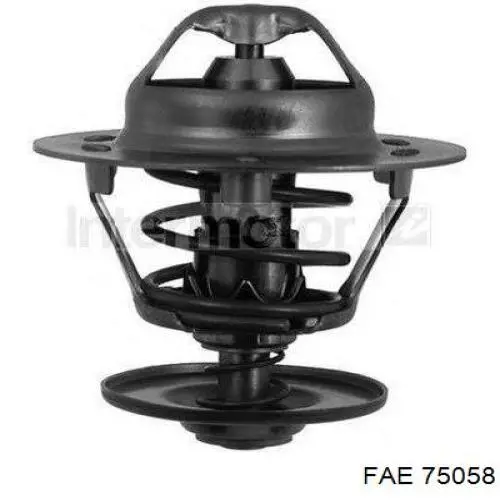 Sensor de oxígeno previo al catalizador 75058 FAE