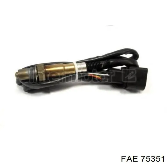  FAE 75351