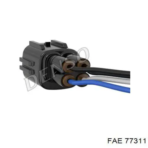  77311 FAE