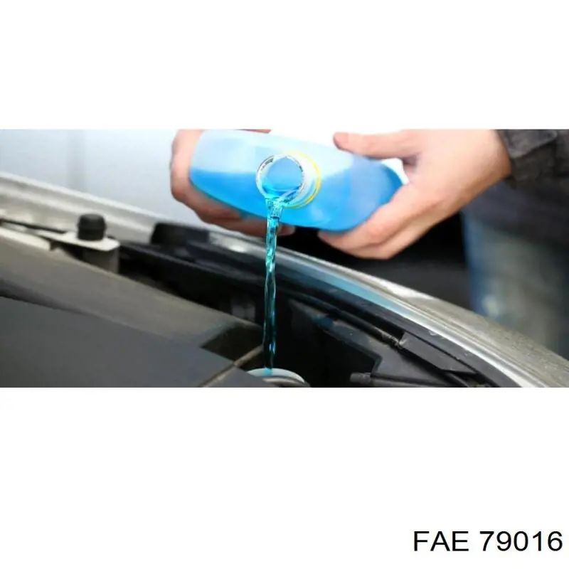 Generador de impulsos, cigüeñal  FAE 79016 precio, desde 17,77 EUR