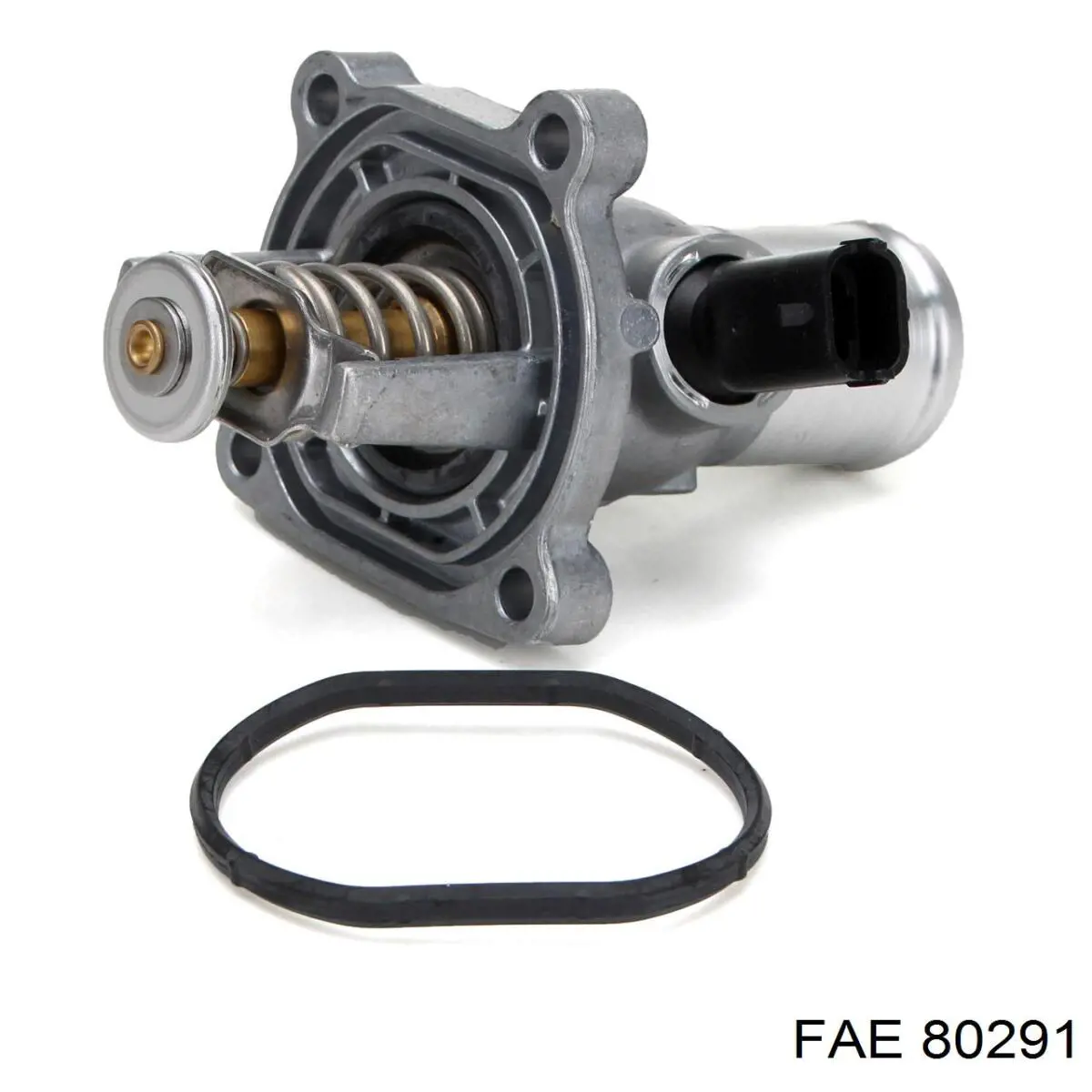 Bobina 80291 FAE