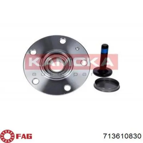 713610830 FAG