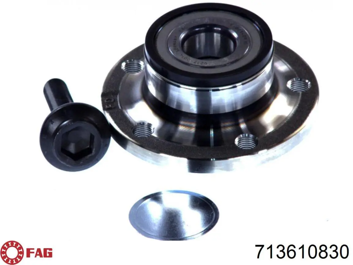 713610830 FAG