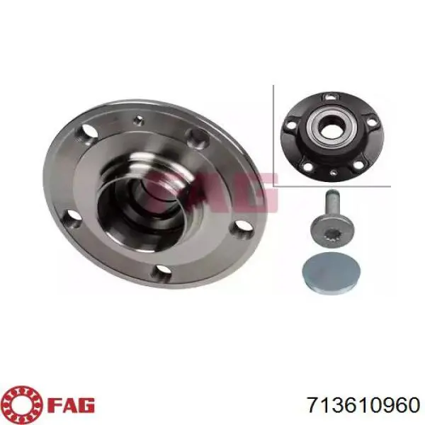Buje FAG 713610960