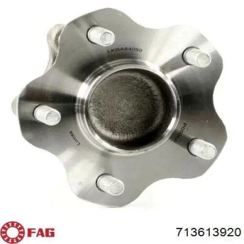 713613920 FAG Buje de rueda trasero