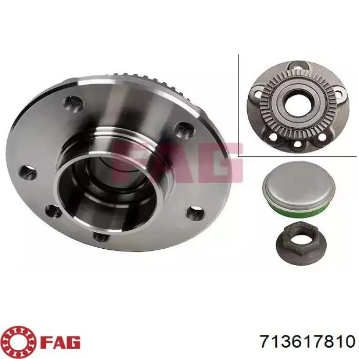 Buje FAG 713617810
