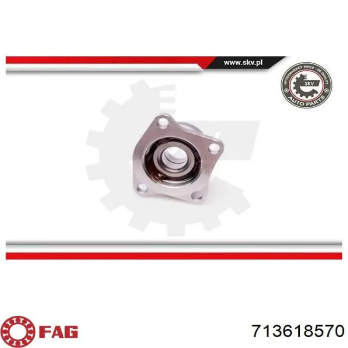 713618570 FAG Rodamiento de rueda trasera