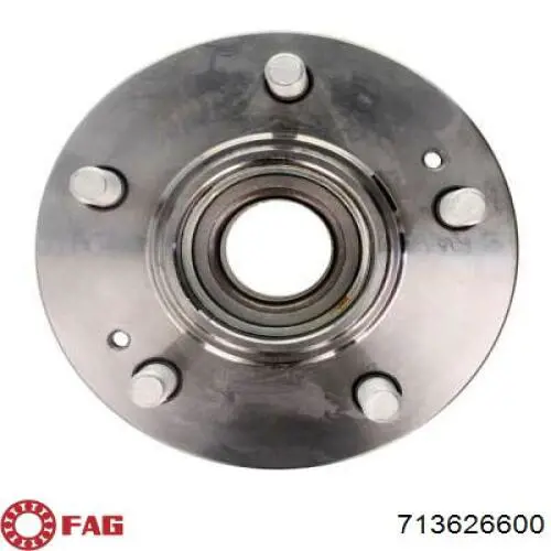 Cubo de rueda trasero 4420540 Ashika