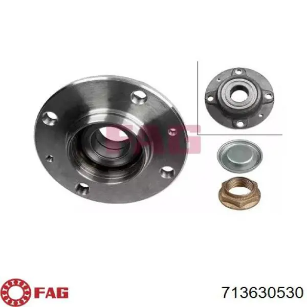 Buje FAG 713630530
