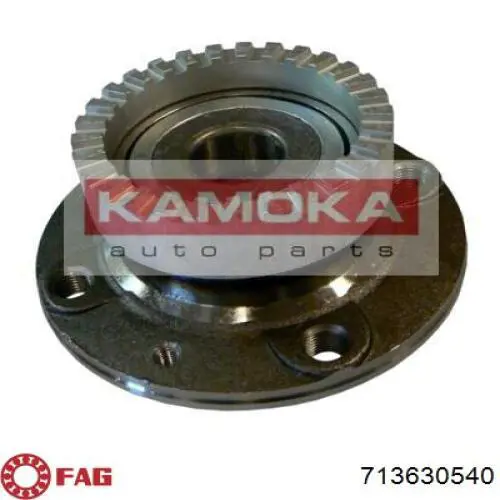 Cubo de rueda trasero 713630540 FAG