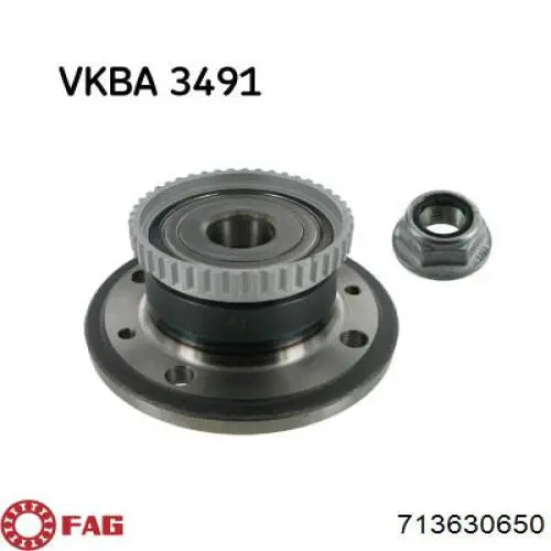 Cubo de rueda trasero 8660001821 Renault (RVI)
