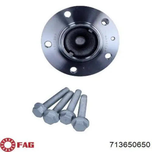 Cubo de rueda trasero 750586 Cautex