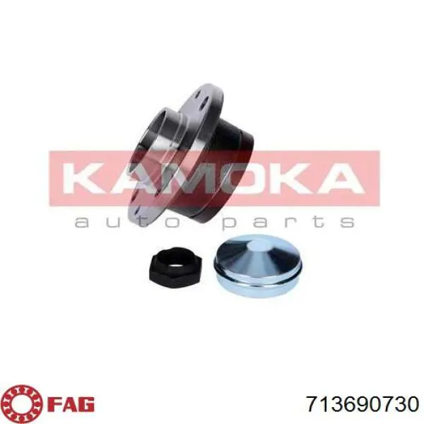 Buje FAG 713690730