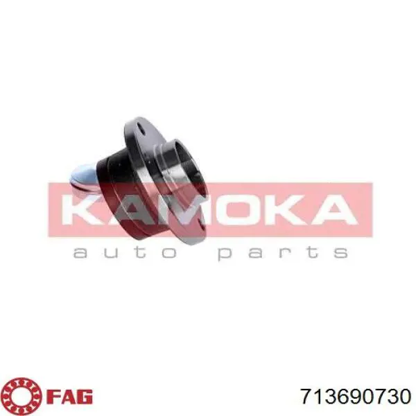 713690730 FAG Buje de rueda trasero