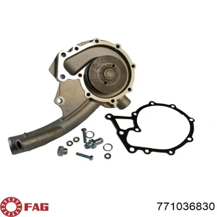 Comprar 771036830 FAG Junta homocinetica