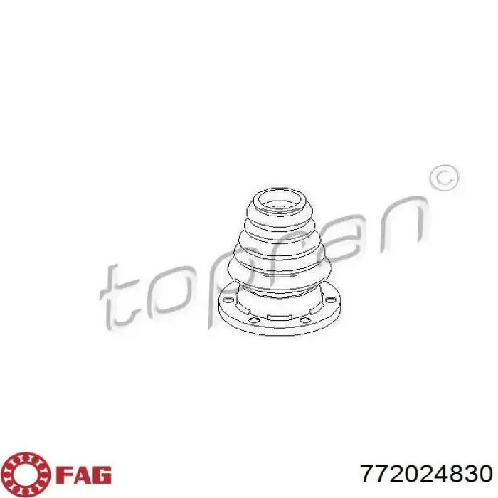 772024830 FAG Fuelle palier delantero interior