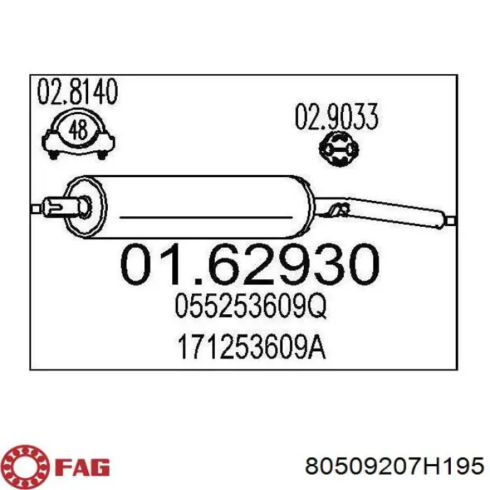 80509207H195 FAG cojinete de rueda delantero/trasero