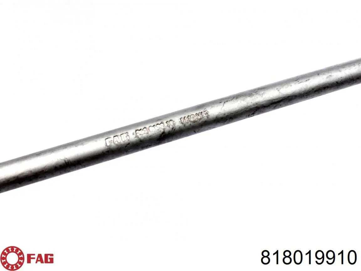 Comprar 818019910 FAG Bieleta estabilizadora delantera