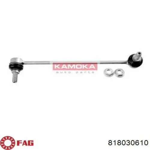 Bieleta de suspensión delantera derecha FAG 818030610