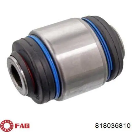 Bieleta estabilizadora delantera FAG 818036810 precio, desde 21,63 EUR